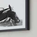 "Foal" - Art Print in Charcoal by Anne Ciotola - Frame Close-up