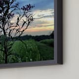 "Ironweed" - Art Print in Blue by Misty Hughes - Frame Close-up