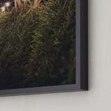 "Lit Trees" - Art Print in Midnight by Erin Niehenke - Frame Close-up