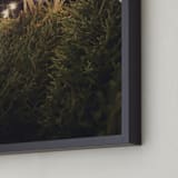 "Lit Trees" - Art Print in Midnight by Erin Niehenke - Frame Close-up