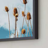 "Sun Dried Thistle" - Art Print in Quiet Sea Blue by Elky Ink - Frame Close-up