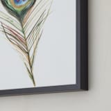 "Peacock Feather" - Art Print in Multicolor by Amanda Paulson - Frame Close-up
