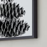 "Stacked Pine Cones" - Art Print in black and white by Alexis Arnold - Frame Close-up