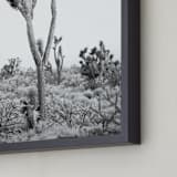 "Vito" - Art Print in joshua grey by Kristi Jackson - Frame Close-up
