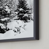 "Holiday Evergreens" - Art Print in Coal by Karen Kaul - Frame Close-up