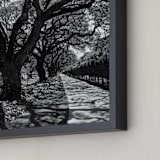 "Curly Tree Alley in Oahu" - Art Print in Strong Black and White by Rasa Puzinaite - Frame Close-up