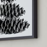 "Stacked Pine Cones" - Art Print in black and white by Alexis Arnold - Frame Close-up