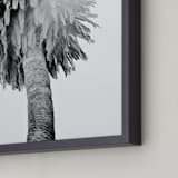 "Puffy Palm" - Art Print in Black and White by Joelle Segal - Frame Close-up