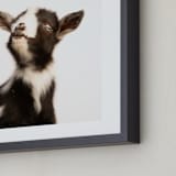"Ivy" - Art Print in Black & white by Jani Blake - Frame Close-up