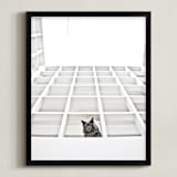 "Sophies Jungle" - Art Print in Black and White by Katrina Leandro - Framed