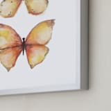 "Rhopalocera One" - Art Print in Orange by Erin Deegan - Frame Close-up