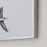 "Gliding Pelican Over Lake" - Art Print in Monochrome by Mary Ann Glynn-Tusa - Frame Close-up