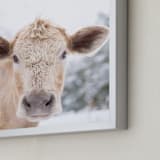"moo cow" - Art Print in Burlap by Emily Gilbert - Frame Close-up