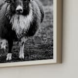 "The General" - Art Print in Black and White by Kaitie Bryant - Frame Close-up