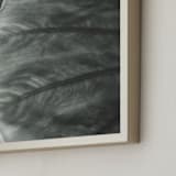 "Leaf Series Nº1" - Art Print in Silver Sage by Anne Ciotola - Frame Close-up