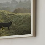 "Holy Cow II" - Art Print in Natural khaki by Lying on the grass - Frame Close-up