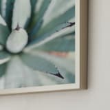 "Todos Santos IV" - Art Print in Desert Green by Lindsay Ferraris Photography - Frame Close-up