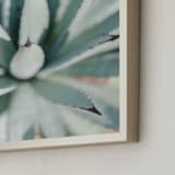 "Todos Santos IV" - Art Print in Desert Green by Lindsay Ferraris Photography - Frame Close-up