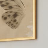 "Vintage Mariposa I" - Art Print in Vintage Ivory by jinseikou - Frame Close-up
