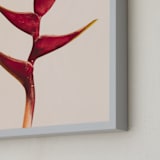 "heliconia 3" - Art Print in Heliconia by Kamala Nahas - Frame Close-up