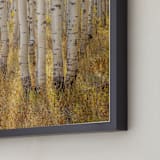 "filtered light" - Art Print in Harvest Yellow by Eric Clegg - Frame Close-up