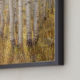 "filtered light" - Art Print in Harvest Yellow by Eric Clegg - Frame Close-up