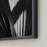 "Palmery 2" - Art Print in Black and White by Catherine Culvenor - Frame Close-up