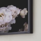 "Midnight Bloom" - Art Print in blush by Kamala Nahas - Frame Close-up