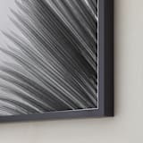 "Palm leaves 1" - Art Print in black and white by Eliane Lamb - Frame Close-up