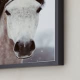 "Winter Horse" - Art Print in white by ALICIA BOCK - Frame Close-up