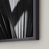 "Palmery 2" - Art Print in Black and White by Catherine Culvenor - Frame Close-up