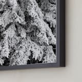 "Frost 3" - Art Print in Black & White by Ardell McLennan - Frame Close-up