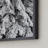 "Frost 3" - Art Print in Black & White by Ardell McLennan - Frame Close-up