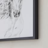 "Equine Vanity" - Art Print in original charcoal by Ramnik Velji - Frame Close-up