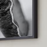 "Forest Find" - Art Print in black and white, grey, gray by Alexis Arnold - Frame Close-up
