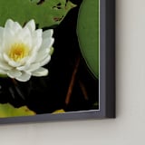 "Water Whimsy" - Art Print in Lily by Three Wings North - Frame Close-up