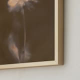 "Single Dahlia Flower" - Art Print in Earth by Sarah Hart Morgan - Frame Close-up