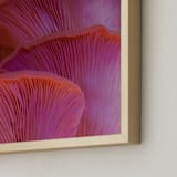"Pink Oyster Mushrooms" - Art Print in Dreamy Pink Violet by Elena Kulikova - Frame Close-up