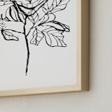 "Fiddle-leaf fig tree 2" - Art Print in pearl by Cass Loh - Frame Close-up