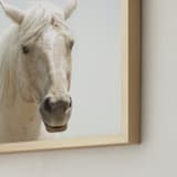 "Horse Series Nº1" - Art Print in Beige by Anne Ciotola - Frame Close-up