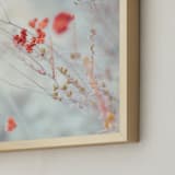 "Native Wildflowers" - Art Print in Rust by Lindsay Ferraris Photography - Frame Close-up