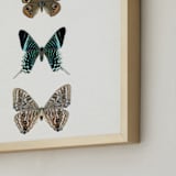 "Fly Away #2" - Art Print in Persimmon Pink by Kisco Print Shop - Frame Close-up