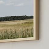 "Northwoods Bound" - Art Print in Larch Green by Karen Kaul - Frame Close-up