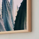 "Agave Daydreams" - Art Print in Agave Green by ALICIA BOCK - Frame Close-up