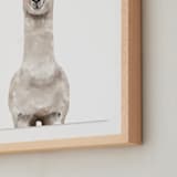 "Baby Animal Llama" - Art Print in Milky foam by Cass Loh - Frame Close-up