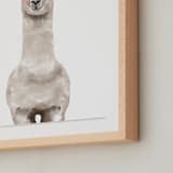 "Baby Animal Llama" - Art Print in Milky foam by Cass Loh - Frame Close-up