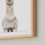 "Baby Animal Llama" - Art Print in Milky foam by Cass Loh - Frame Close-up
