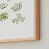 "Frog sketches" - Art Print in Pastel Green by Catilustre - Frame Close-up