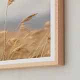 "marsh grass" - Art Print in Golden by Crystal Lynn Collins - Frame Close-up