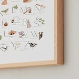 "Woodland Explorer Alphabet" - Art Print in Sage by Randi Cirelli - Frame Close-up